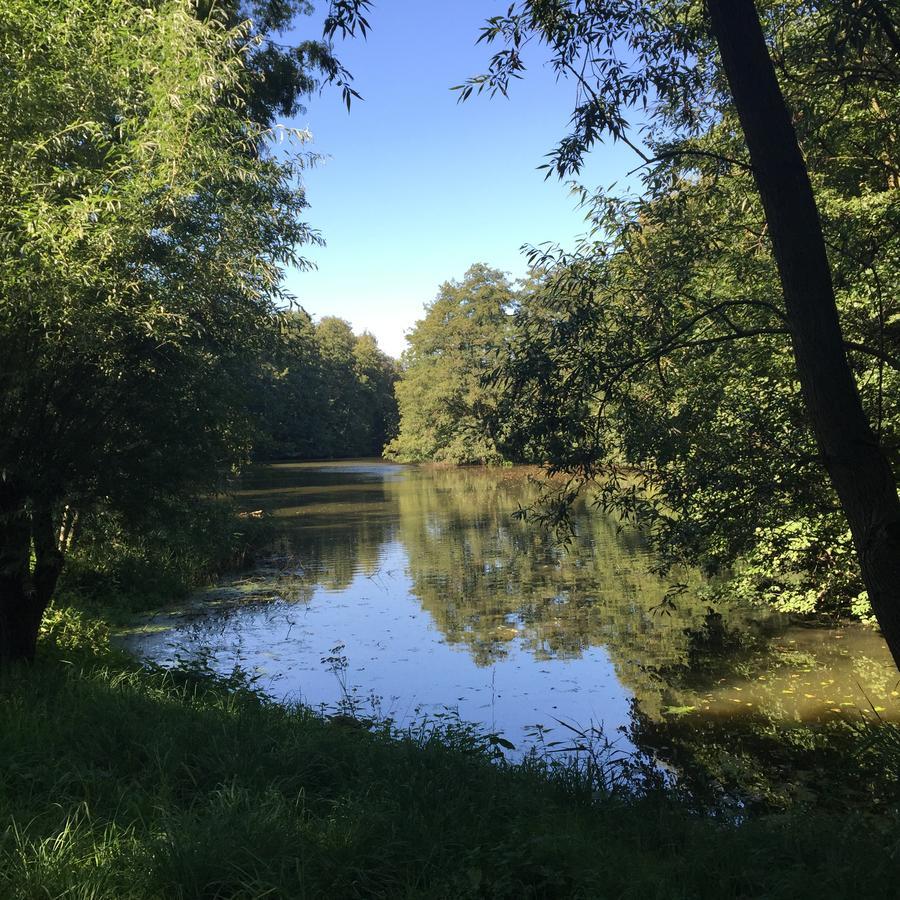 Engels Hof Wolfsburg Exteriör bild